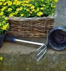 Cvetličarna in vrtnarija Ig Ljubljana - sveže in kvalitetno