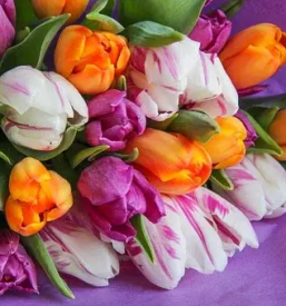 Urejanje okolice Krško