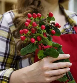 Cvetličarske storitve cena