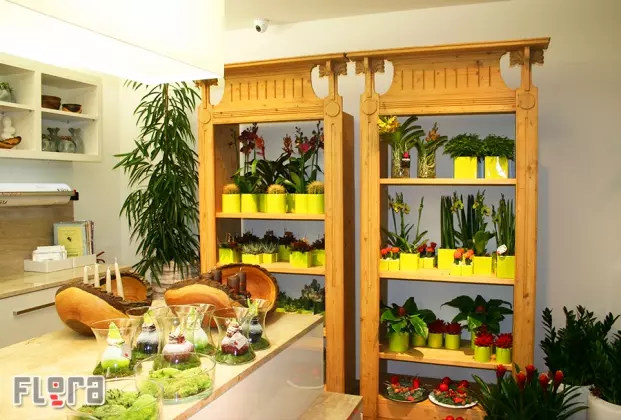 Cvetličarna Medvode, Gorenjska