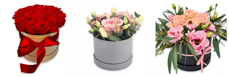 Obiščite cvetličarno Straža, Srebrniče, Novo mesto