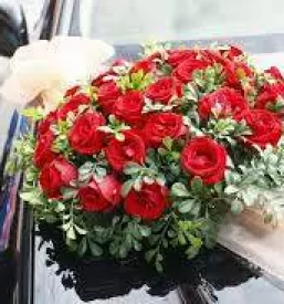 Cvetlicarna v ljubljani