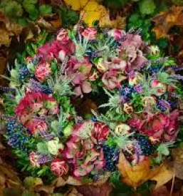 Cvetlicarna v ljubljani - za vsakogar nekaj