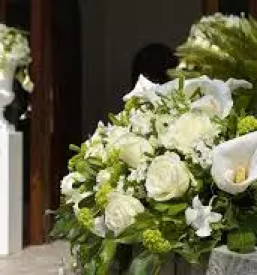 Cvetlicarske stoitve domzale