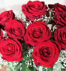 Cvetlicarske stoitve domzale