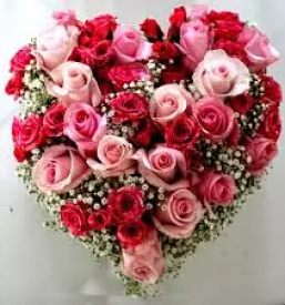 Cvetni aranzmaji gorica