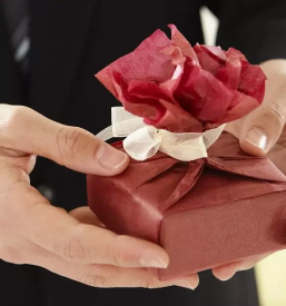 Darilni program kocevje