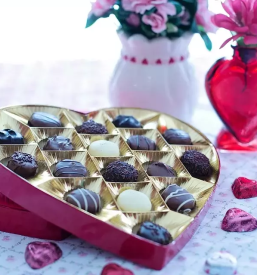 Darilni program kocevje