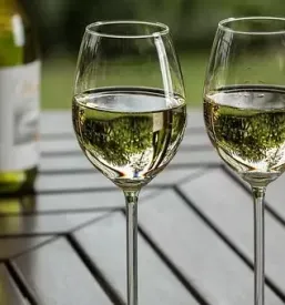 Degustacija belih vin goriska