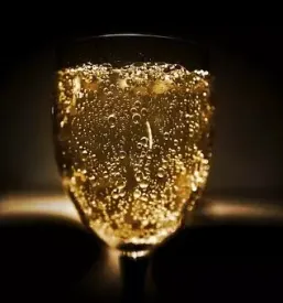 Degustacija belih vin goriska