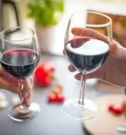 Degustacija dobrih vin vipava