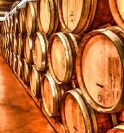 Degustacija dobrih vin vipava