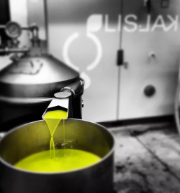 Degustacija oljcnega olja koper