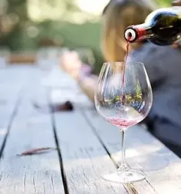 Degustacija rdecih vin goriska