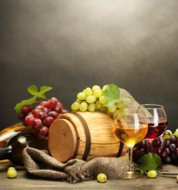 Degustacija vin Vipavska dolina