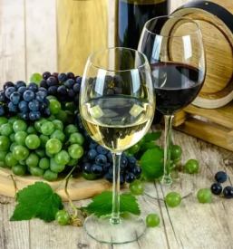 Degustacija vin zgornja kungota