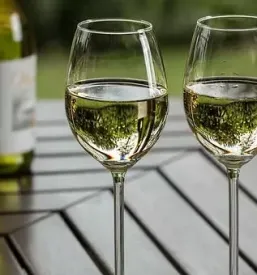 Degustazione dei buoni vini di vipava
