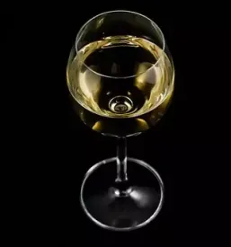 Degustazione dei buoni vini di vipava