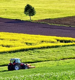 Dela s traktorjem podravska
