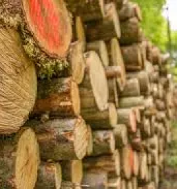 Dela z gradbeno mehanizacijo