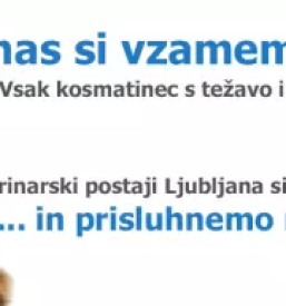 Dežurna veterinarska klinika Ljubljana