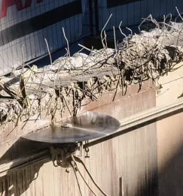 Kvalitetno diamantno rezanje betona Slovenija