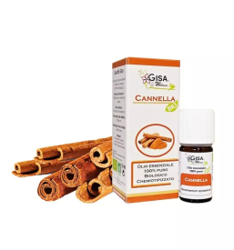 Difuzorji in olja slovenija