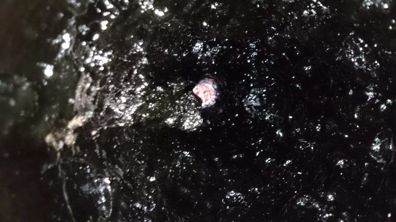 Dimnikar Ajdovščina, okolica