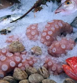 Ribji bistro Ljubljana, okolica