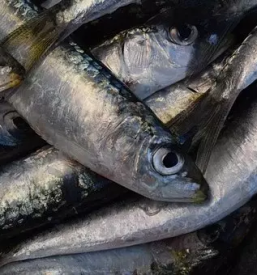 Bistro Ljubljana, okolica