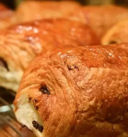 Dober burek novo mesto