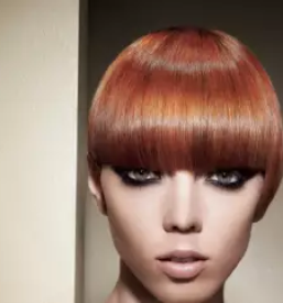 Dober frizer dravlje