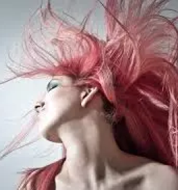 Dober frizer sevnica