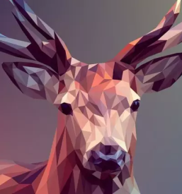 Dober graficni oblikovalec primorska