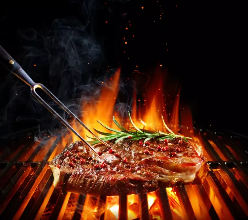 Najboljši grill Nova Gorica