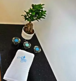 Dober kozmeticni salon koper