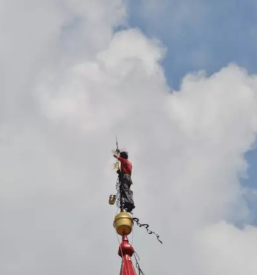 Dober krovec goriska