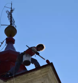 Dober krovec goriska