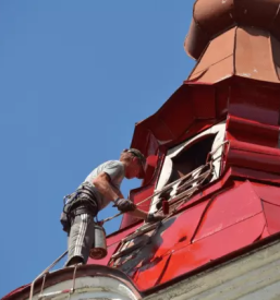 Dober krovec goriska