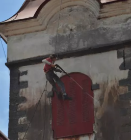 Dober krovec goriska