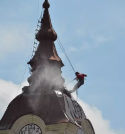 Dober krovec goriska