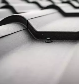 Dober krovec portoroz