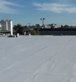 Dober krovec Savinjska regija