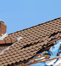 Dober krovec po Savinjskem