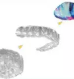 Dober ortodont ljubljana