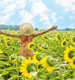 Dober psihoterapevt ljubljana