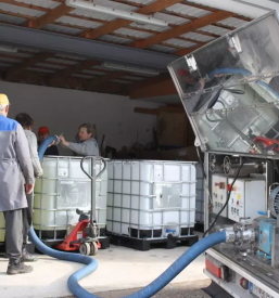 Dober sirup za cebele koroska