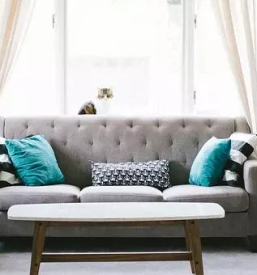 Ugoden tapetnik Ljubljana