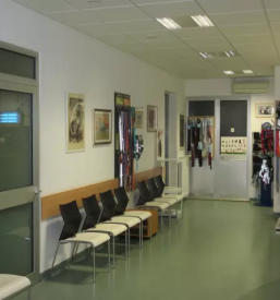 Dober veterinar Nova Gorica, Goriška