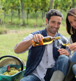 Dobra bela vina Goriška